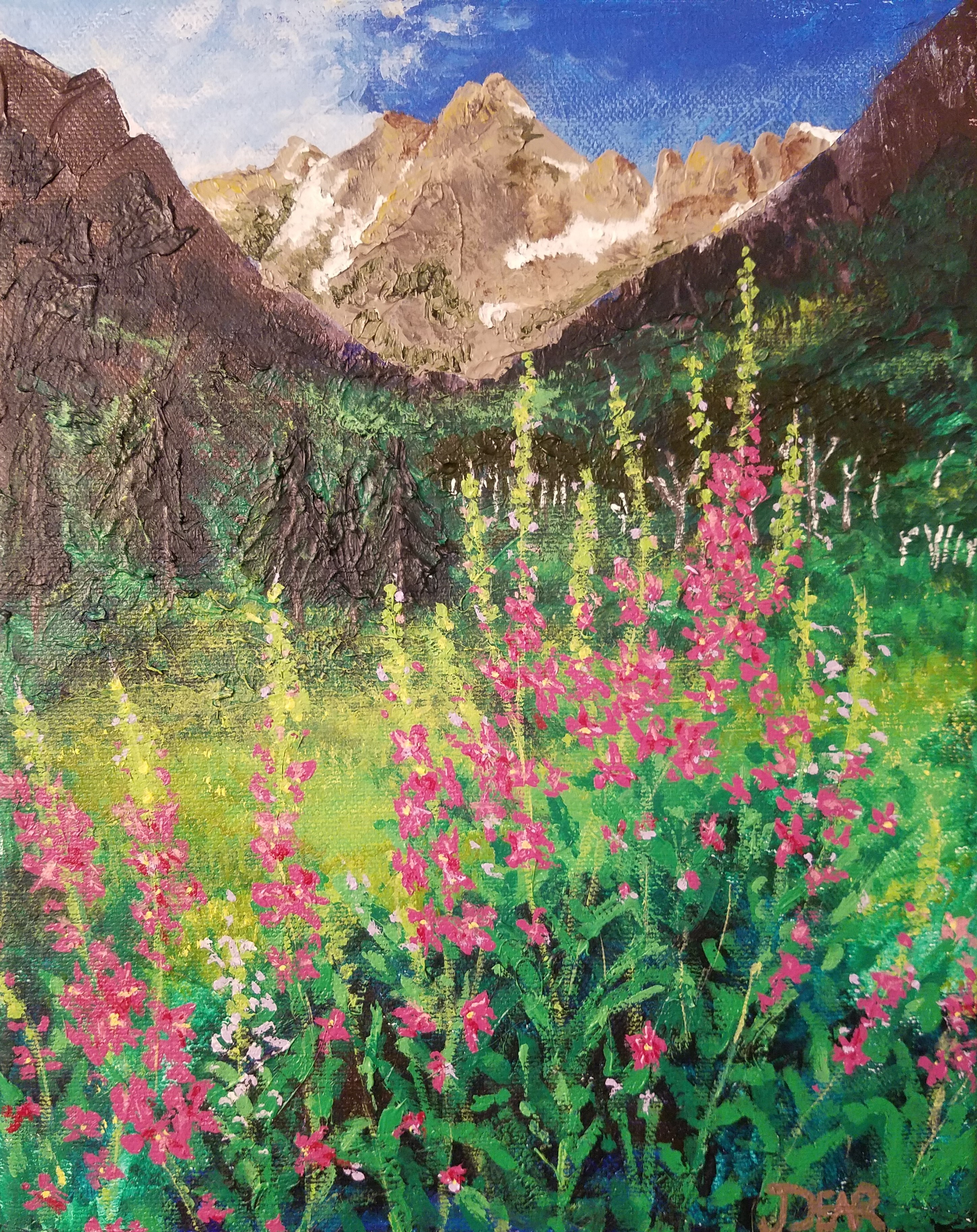 Colorado Mountain Flowers